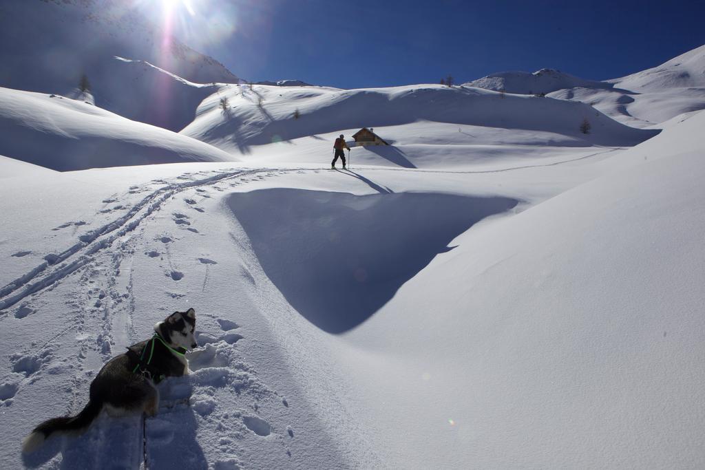 Le Chalet Viso Arvieux Dış mekan fotoğraf
