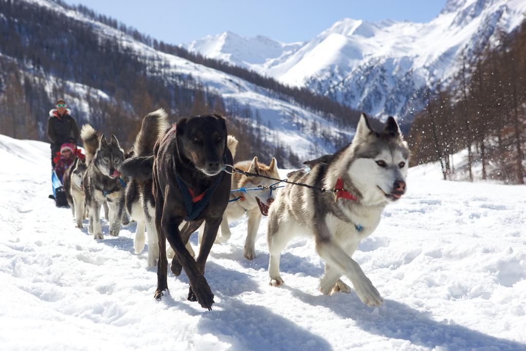 Le Chalet Viso Arvieux Dış mekan fotoğraf