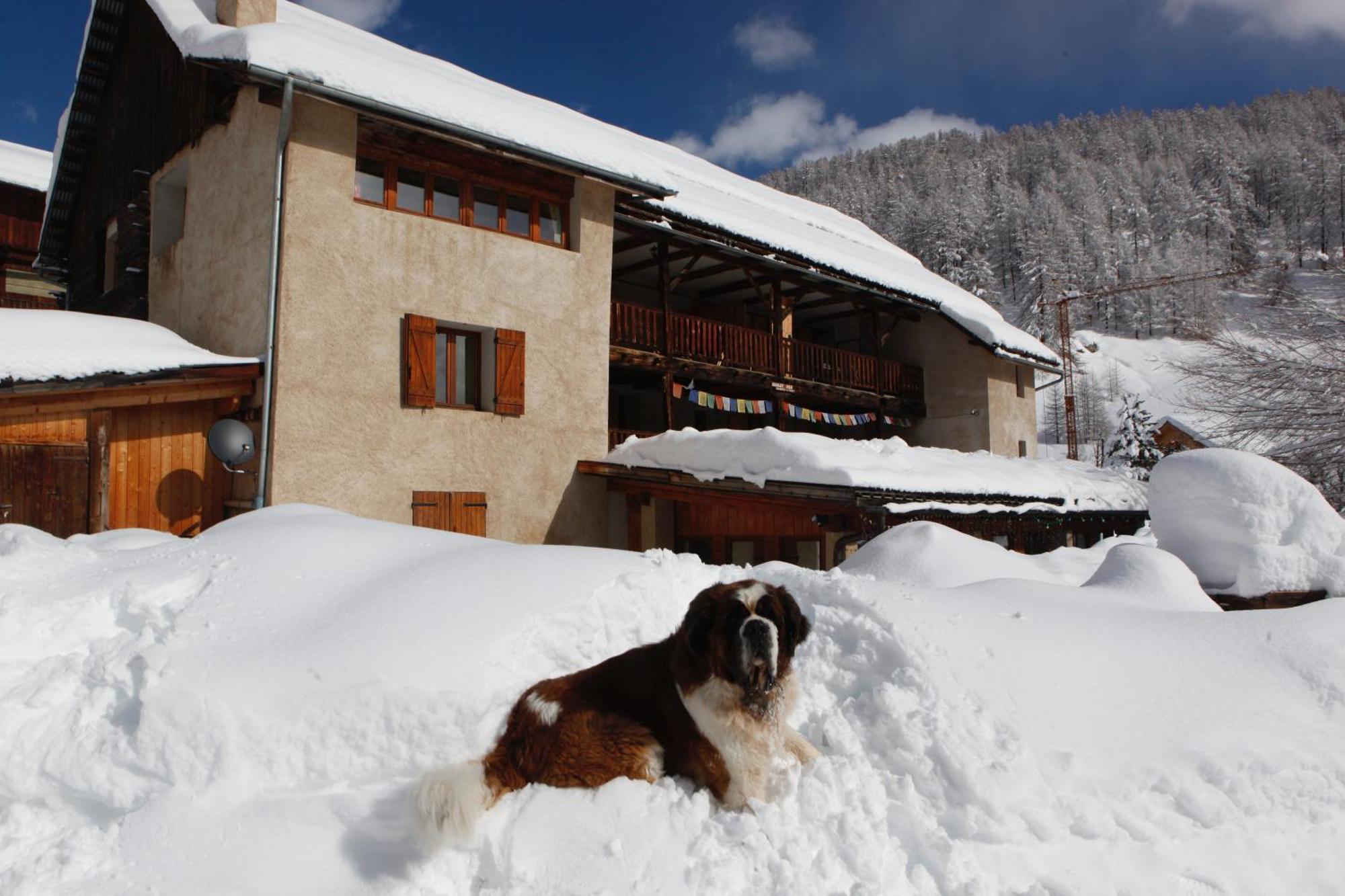 Le Chalet Viso Arvieux Dış mekan fotoğraf