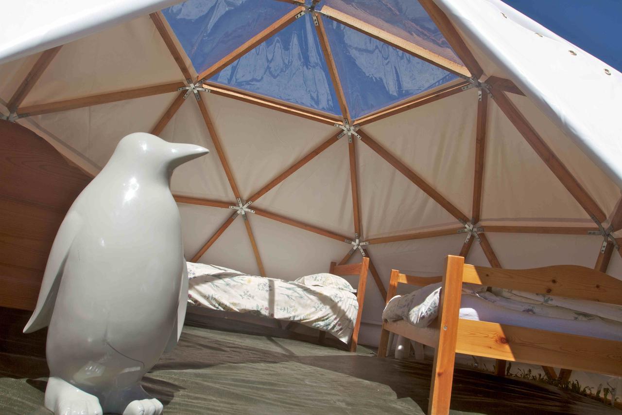 Le Chalet Viso Arvieux Dış mekan fotoğraf
